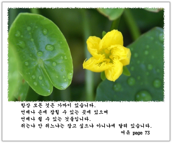 이미지를 클릭하면 원본을 보실 수 있습니다.