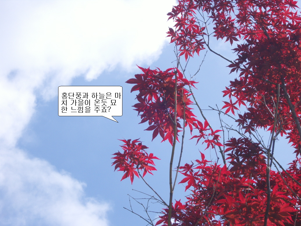 이미지를 클릭하면 원본을 보실 수 있습니다.