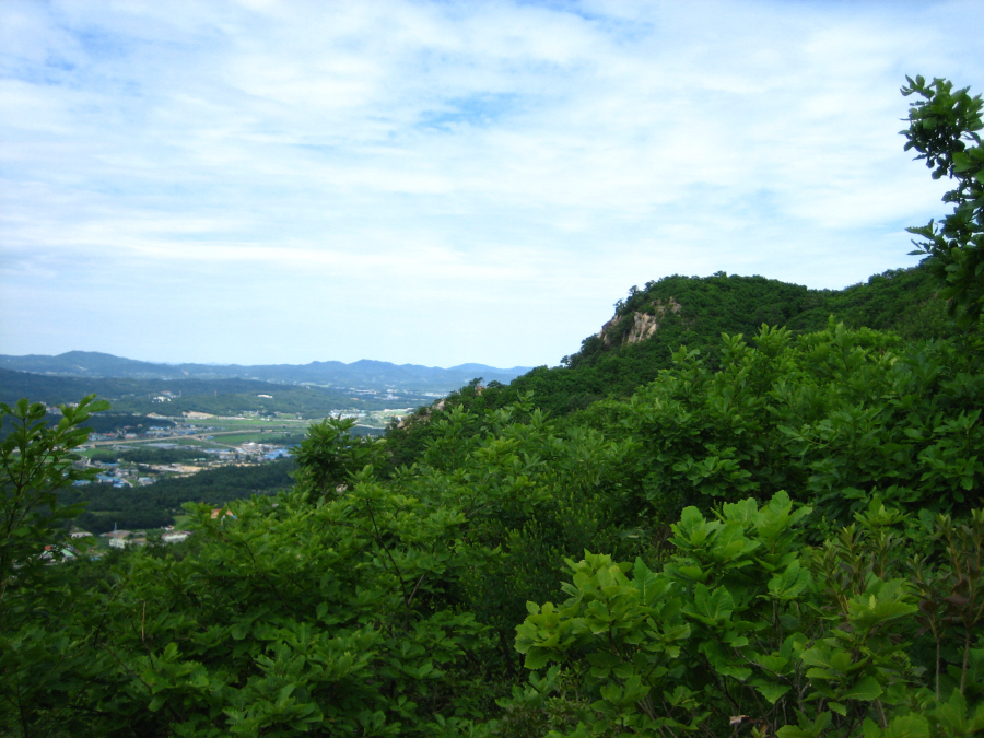 이미지를 클릭하면 원본을 보실 수 있습니다.