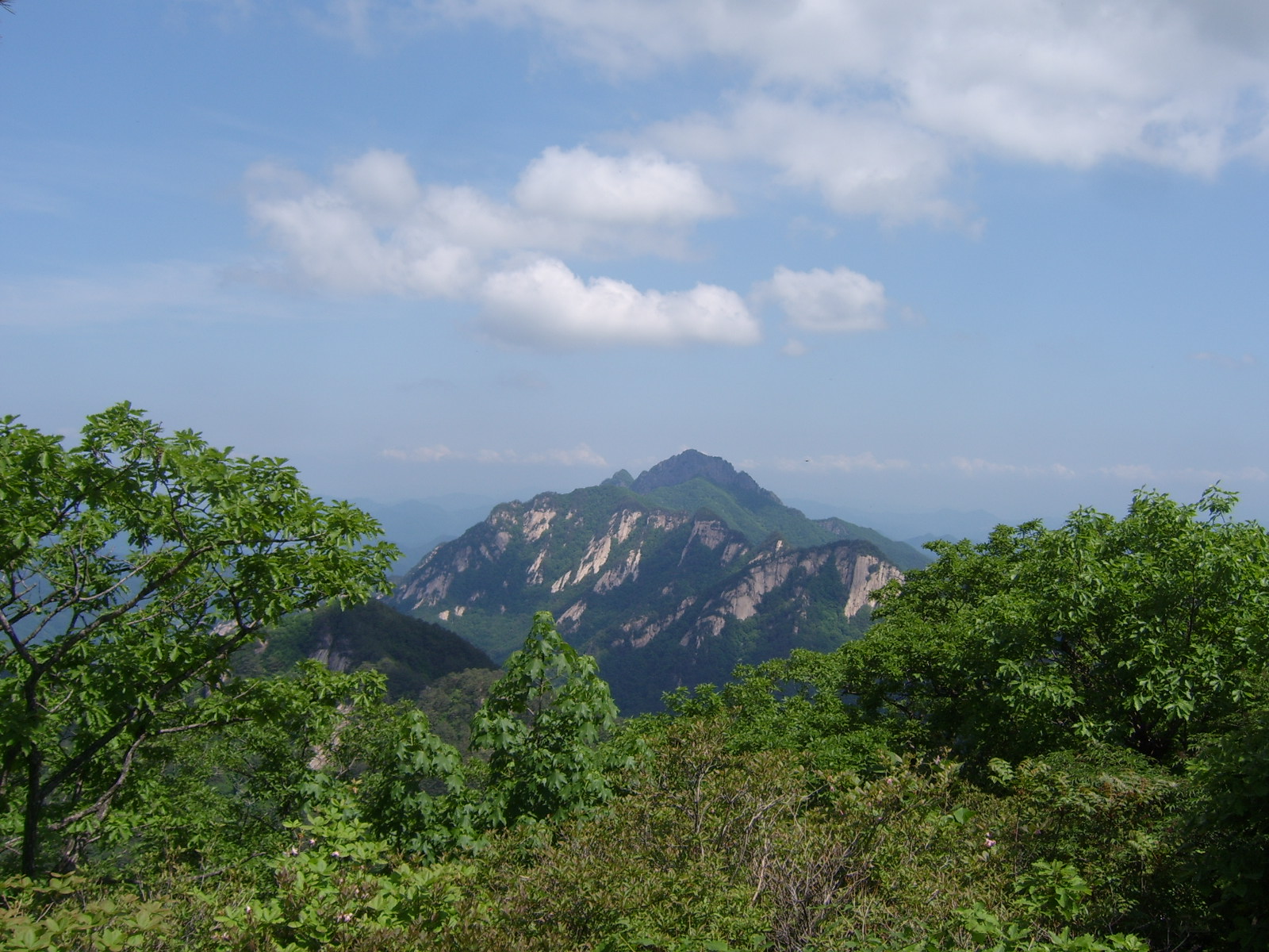 이미지를 클릭하면 원본을 보실 수 있습니다.