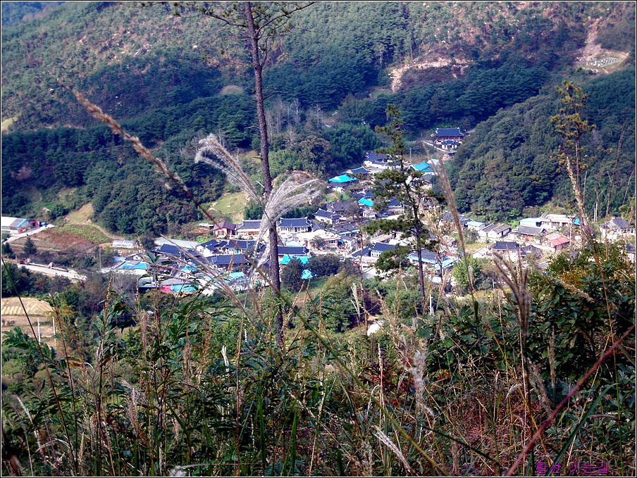 이미지를 클릭하면 원본을 보실 수 있습니다.