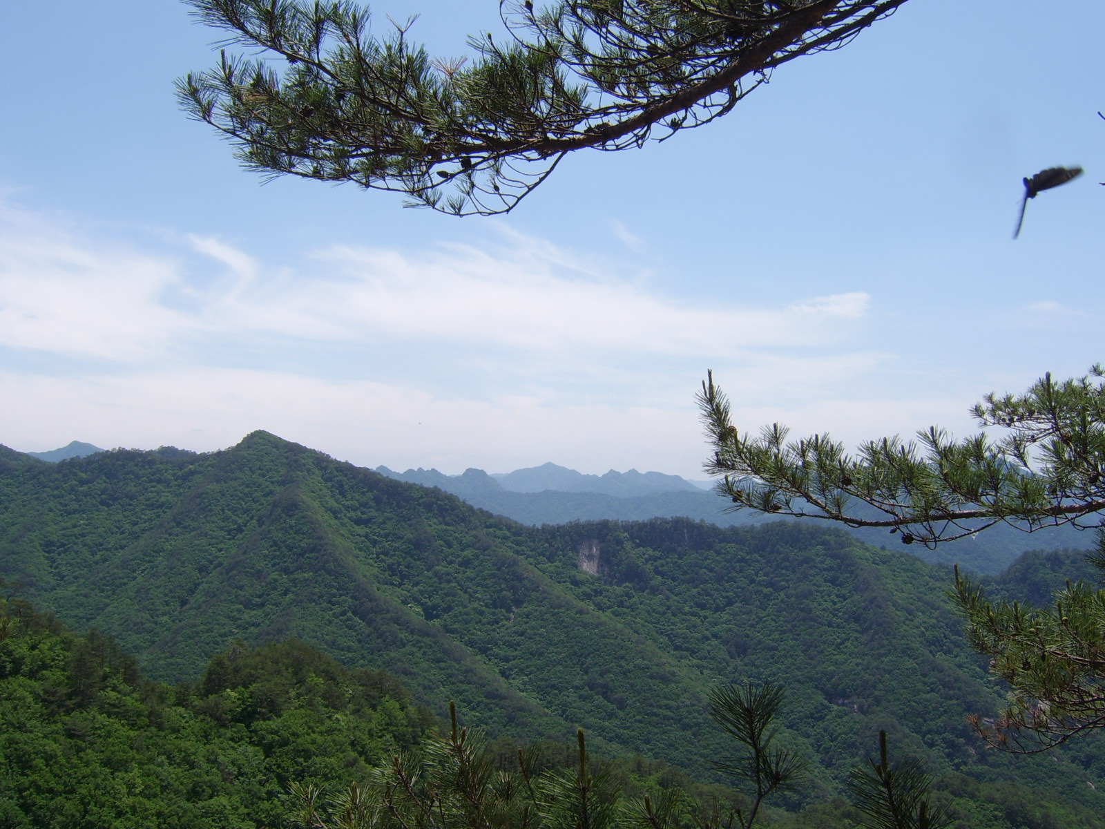 이미지를 클릭하면 원본을 보실 수 있습니다.