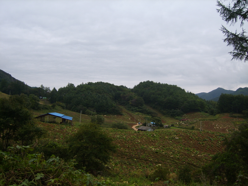 이미지를 클릭하면 원본을 보실 수 있습니다.