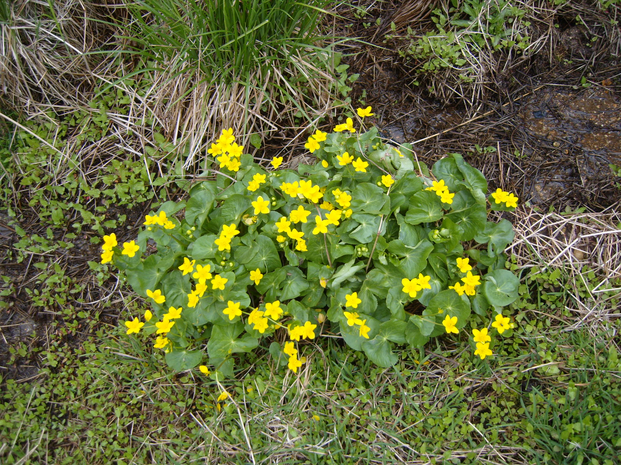 이미지를 클릭하면 원본을 보실 수 있습니다.