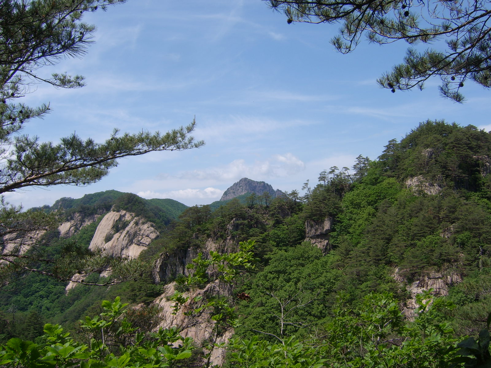 이미지를 클릭하면 원본을 보실 수 있습니다.
