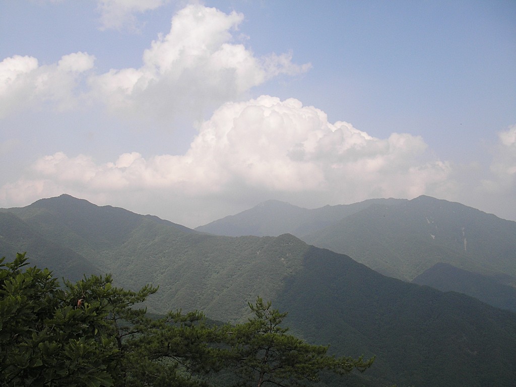 이미지를 클릭하면 원본을 보실 수 있습니다.
