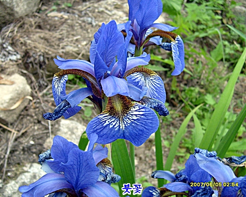 이미지를 클릭하면 원본을 보실 수 있습니다.