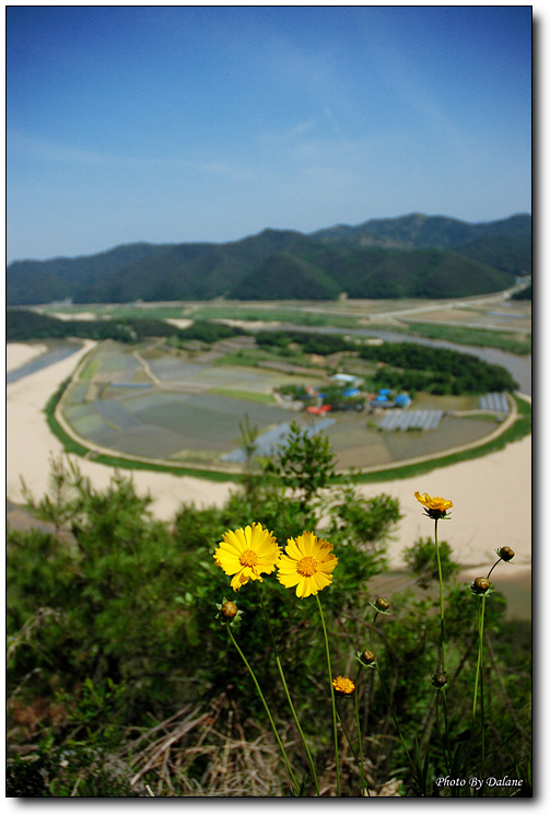 이미지를 클릭하면 원본을 보실 수 있습니다.