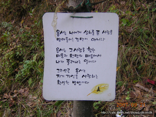 이미지를 클릭하면 원본을 보실 수 있습니다.