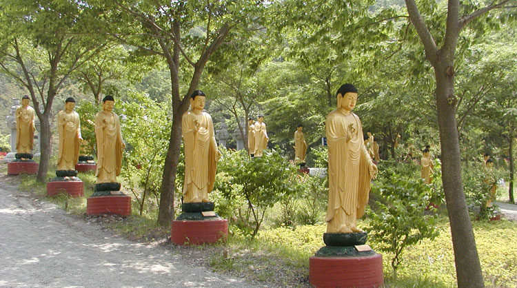 이미지를 클릭하면 원본을 보실 수 있습니다.