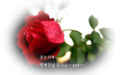 향기 이미지