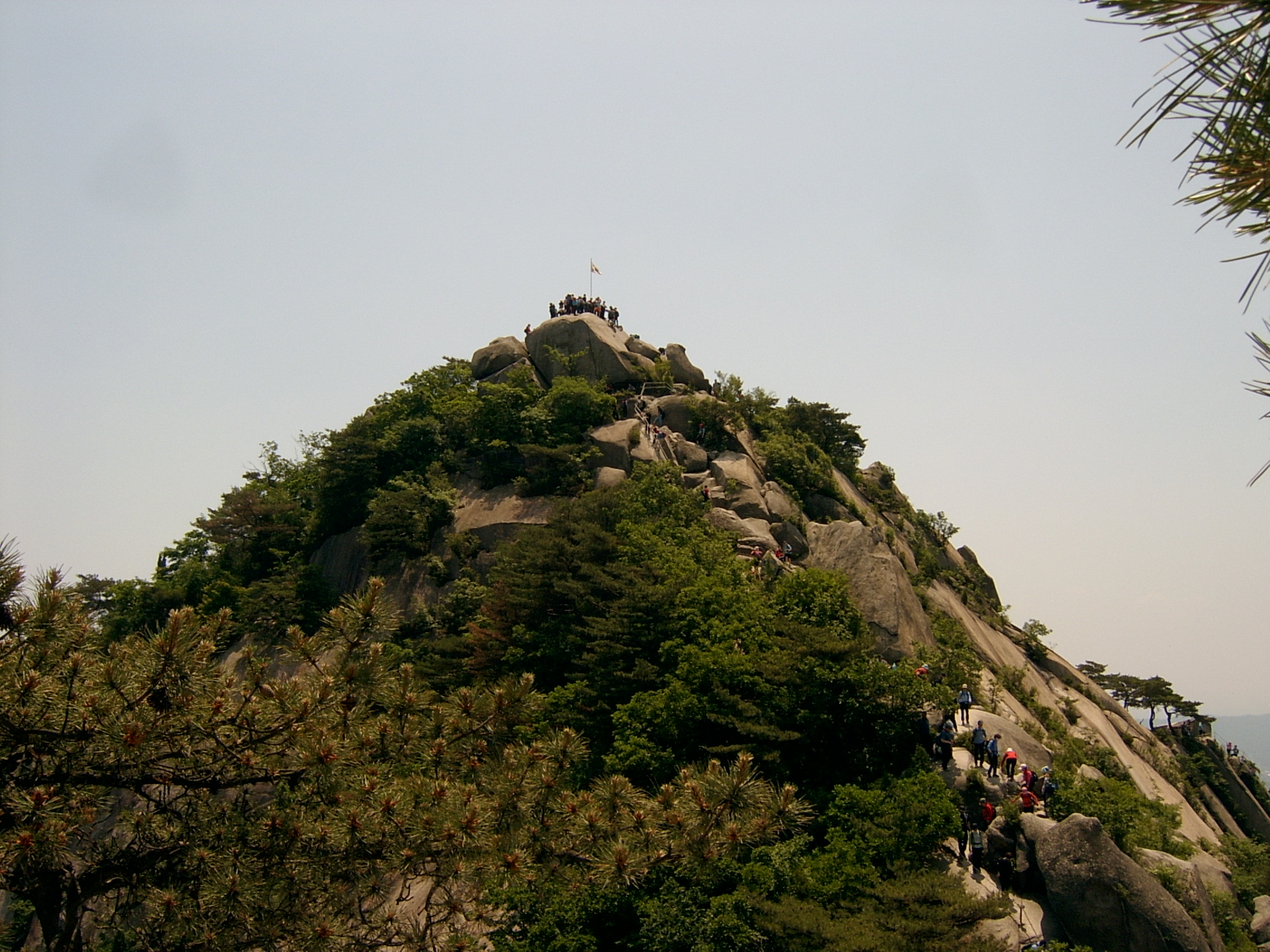 이미지를 클릭하면 원본을 보실 수 있습니다.