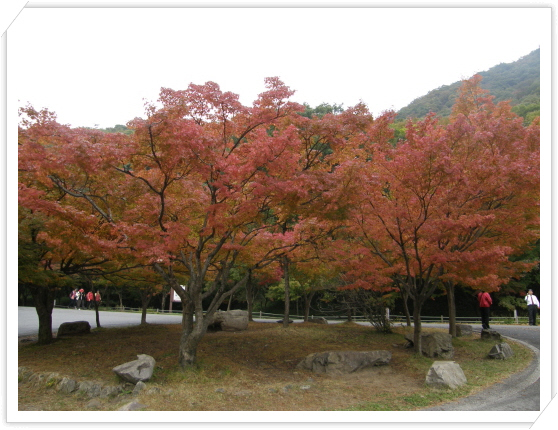 이미지를 클릭하면 원본을 보실 수 있습니다.