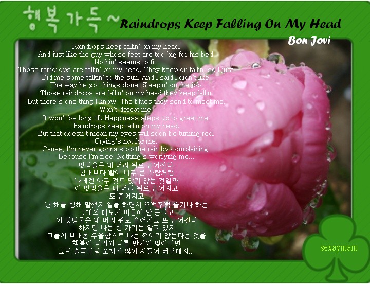 Raindrops Keep Falling on My Head/Bon Jovi