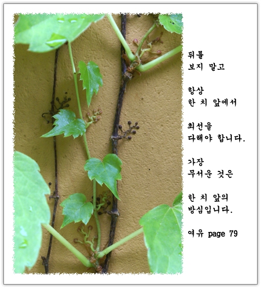 이미지를 클릭하면 원본을 보실 수 있습니다.