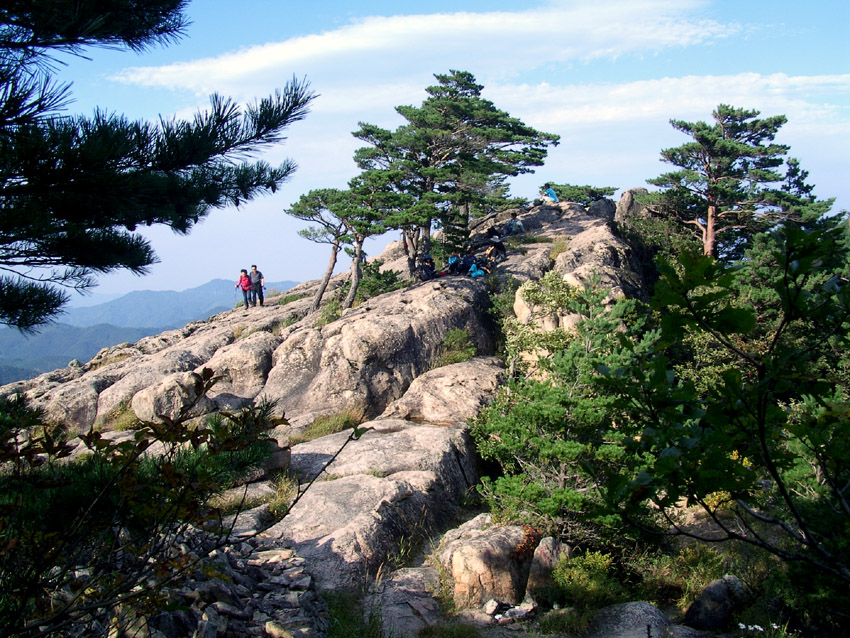 이미지를 클릭하면 원본을 보실 수 있습니다.