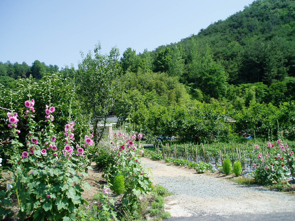 이미지를 클릭하면 원본을 보실 수 있습니다.