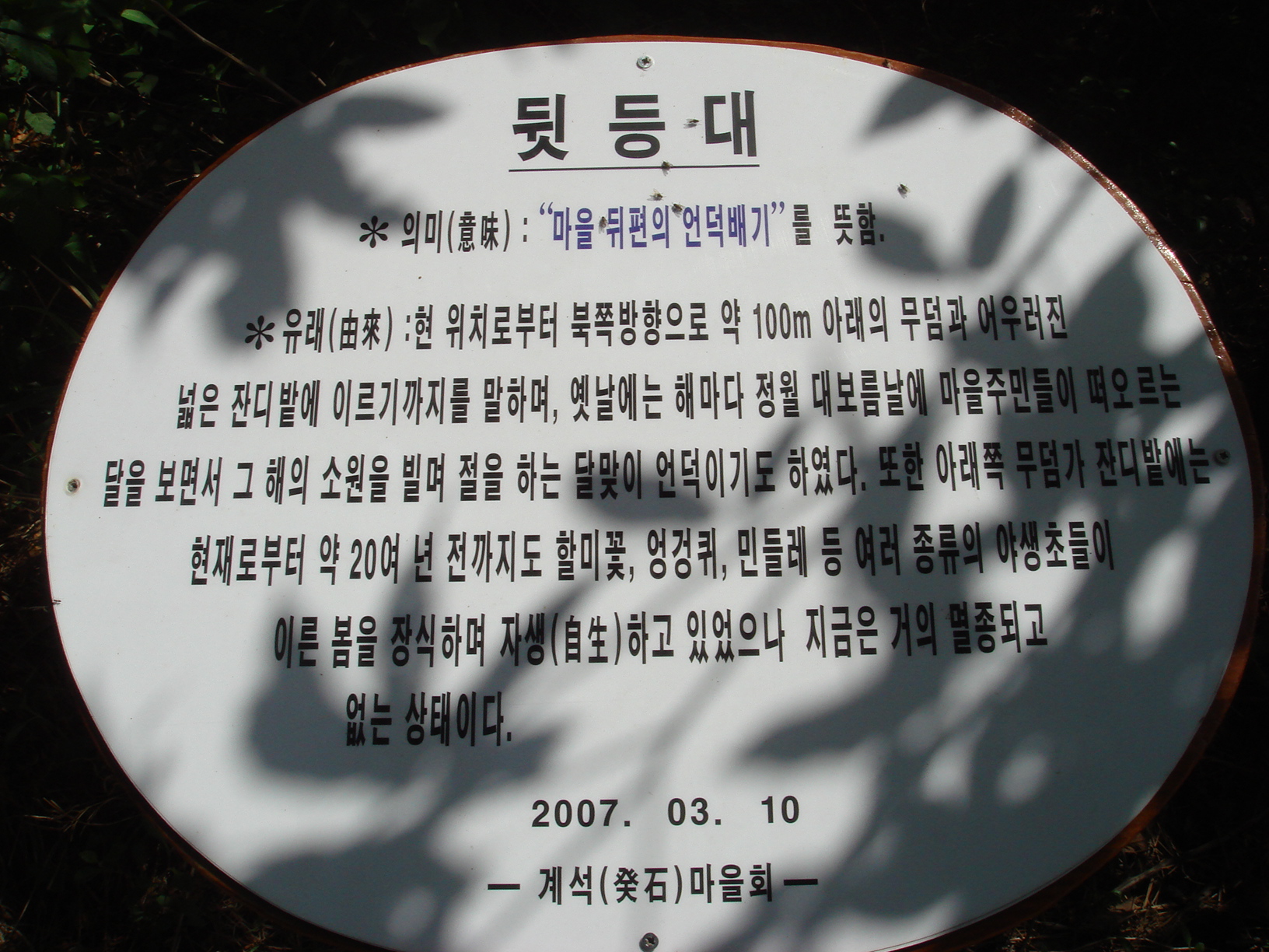 이미지를 클릭하면 원본을 보실 수 있습니다.