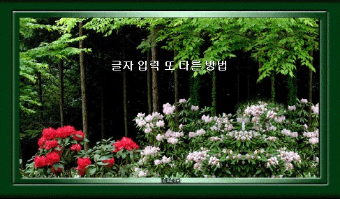 이미지를 클릭하면 원본을 보실 수 있습니다.