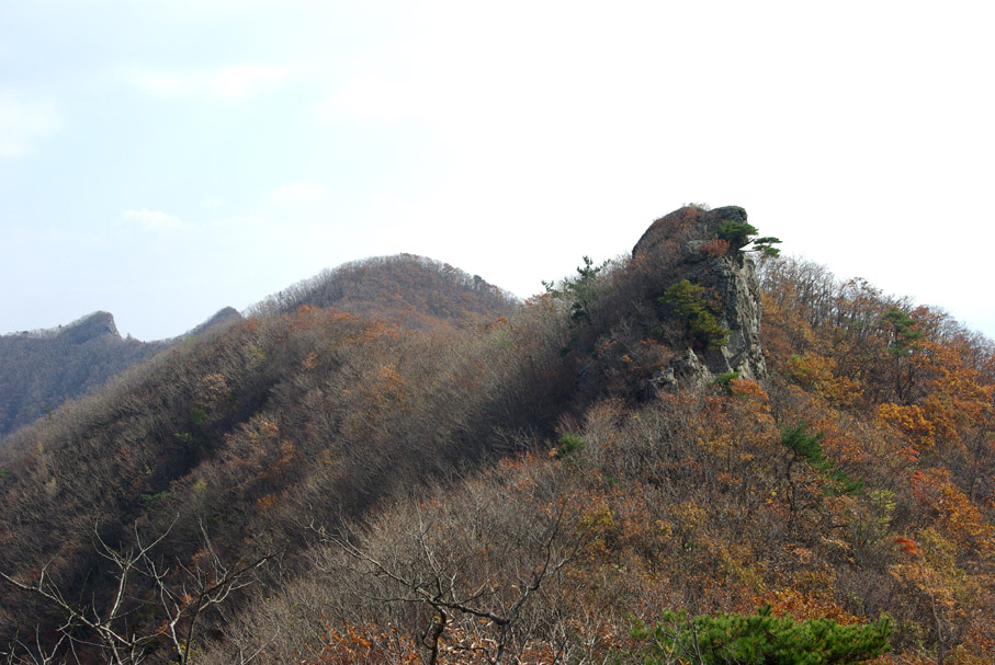 이미지를 클릭하면 원본을 보실 수 있습니다.