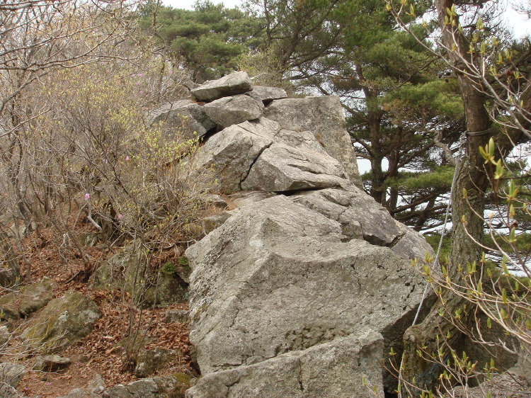 이미지를 클릭하면 원본을 보실 수 있습니다.