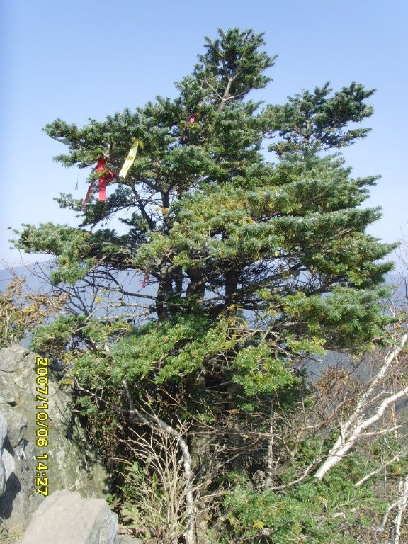 이미지를 클릭하면 원본을 보실 수 있습니다.