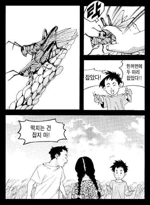 이미지를 클릭하면 원본을 보실 수 있습니다.