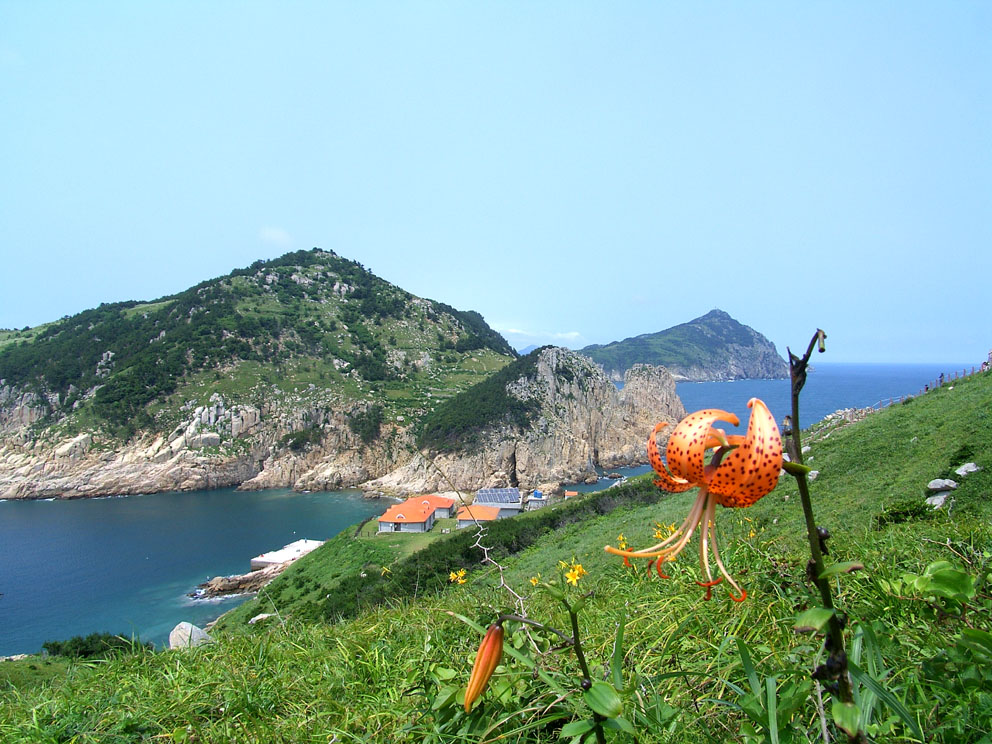 이미지를 클릭하면 원본을 보실 수 있습니다.