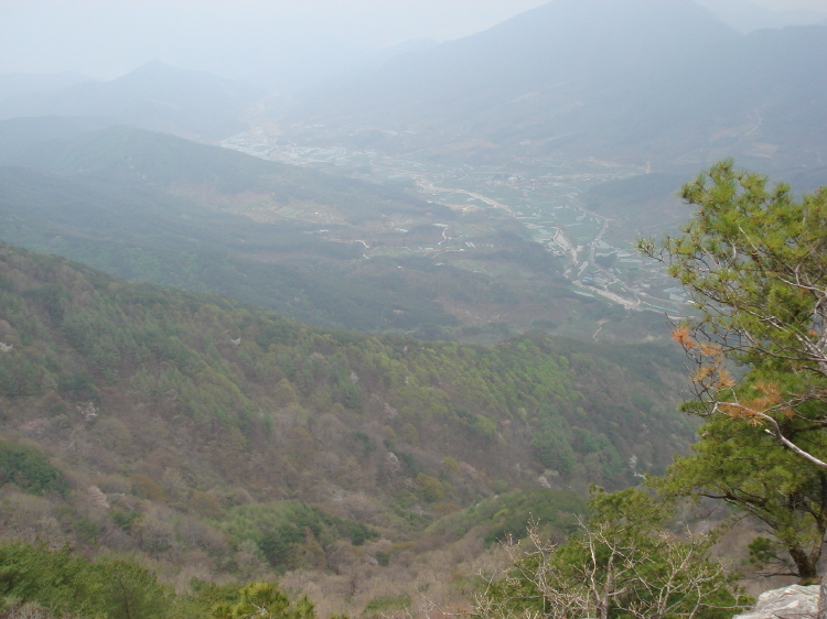 이미지를 클릭하면 원본을 보실 수 있습니다.