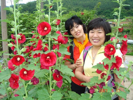 이미지를 클릭하면 원본을 보실 수 있습니다.