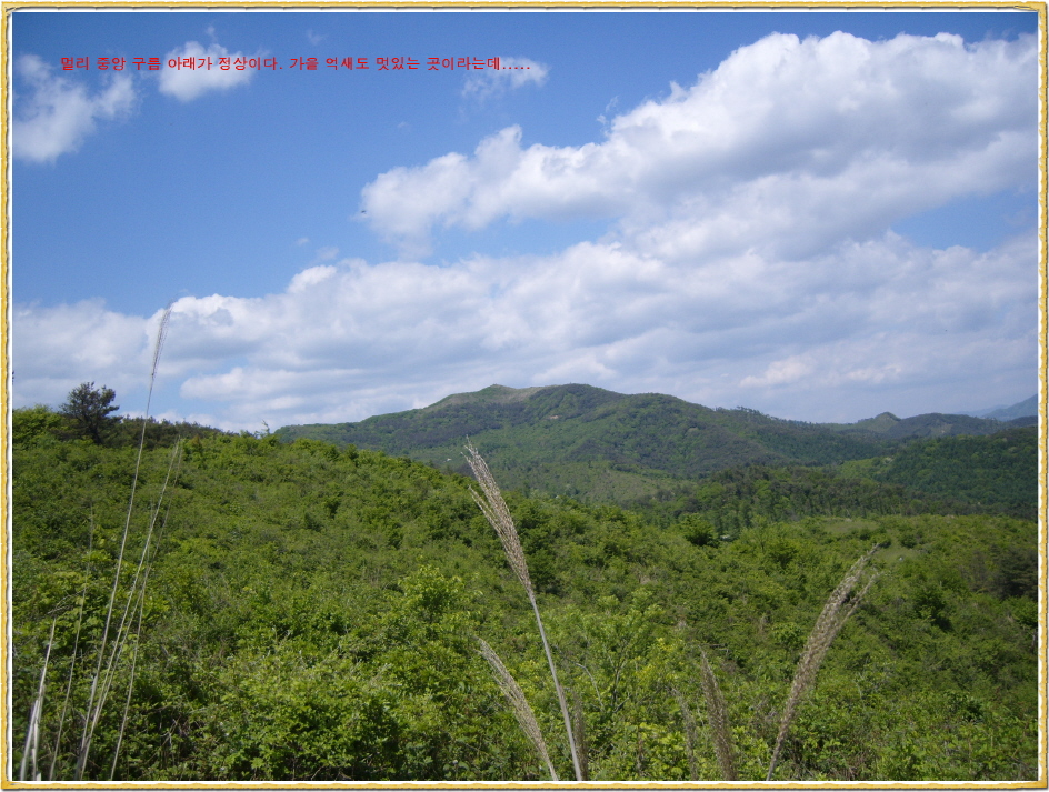 이미지를 클릭하면 원본을 보실 수 있습니다.