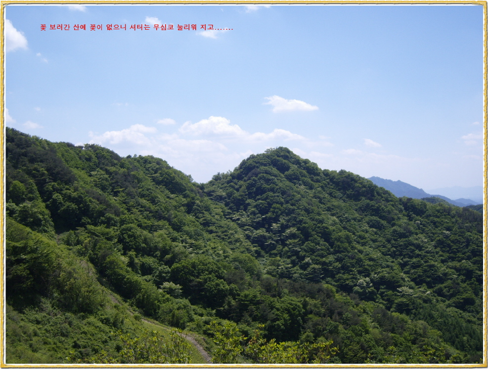 이미지를 클릭하면 원본을 보실 수 있습니다.