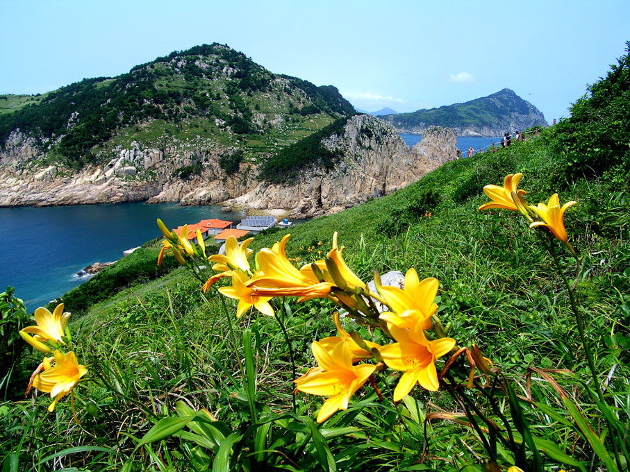 이미지를 클릭하면 원본을 보실 수 있습니다.