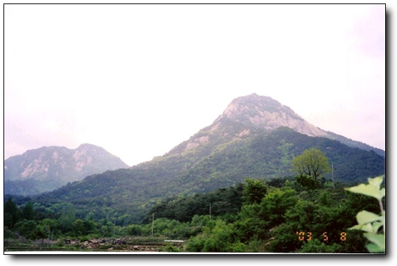 이미지를 클릭하면 원본을 보실 수 있습니다.