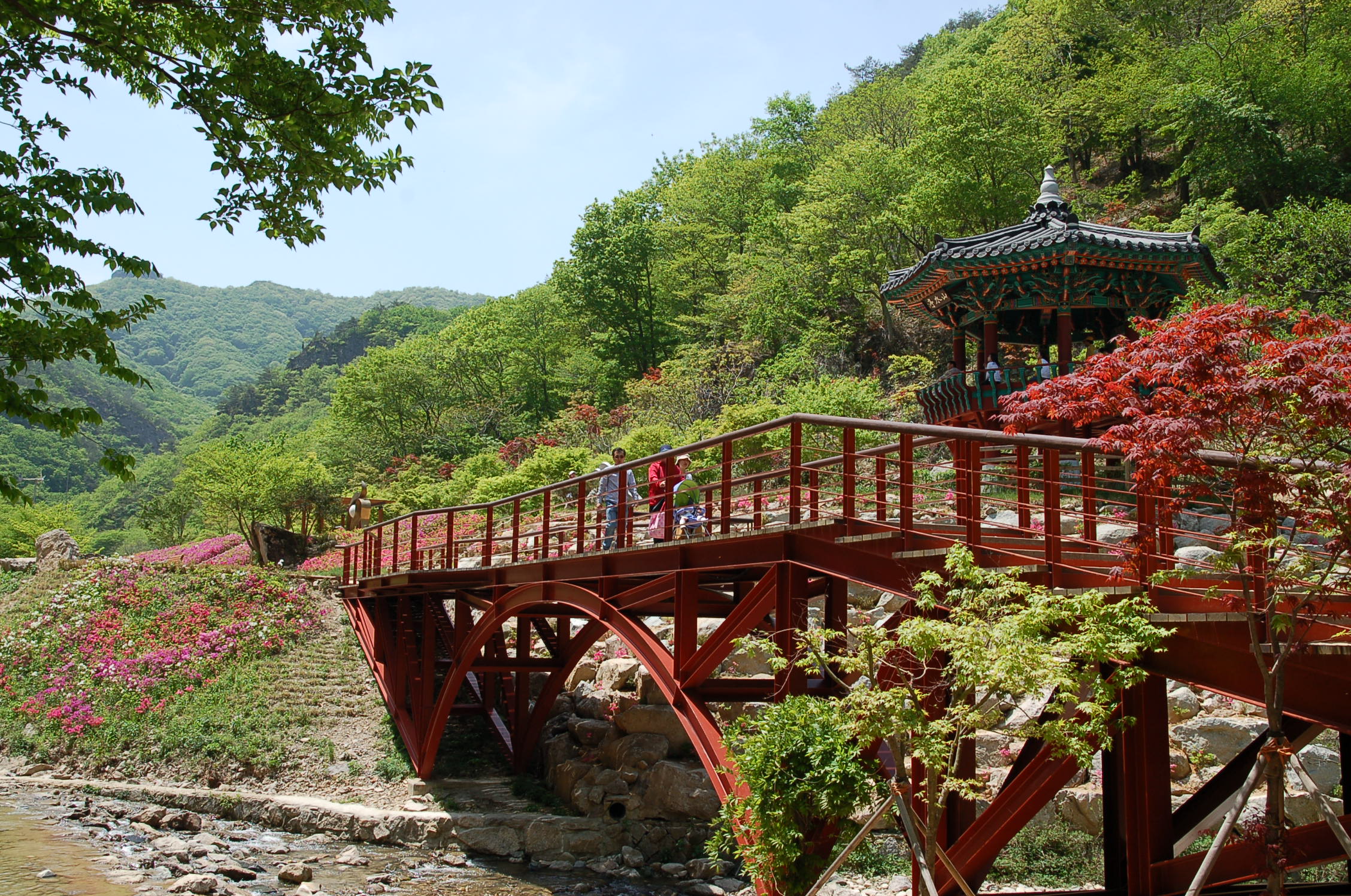 이미지를 클릭하면 원본을 보실 수 있습니다.