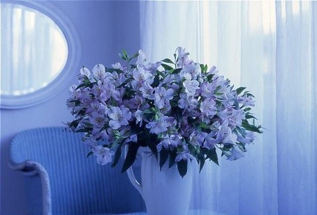 소란이와 함께
