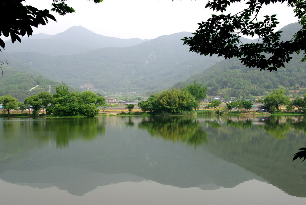 이미지를 클릭하면 원본을 보실 수 있습니다.