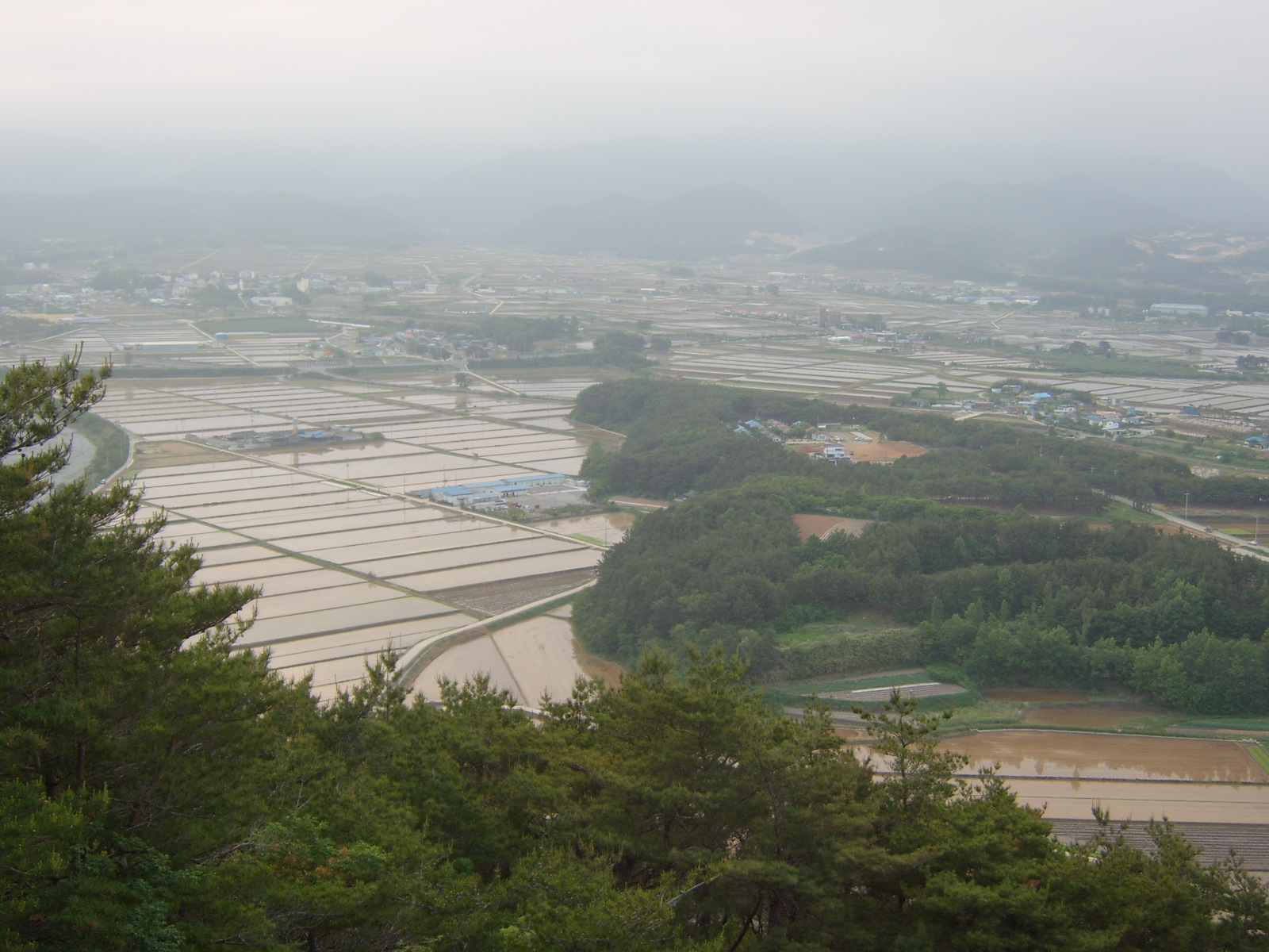 이미지를 클릭하면 원본을 보실 수 있습니다.