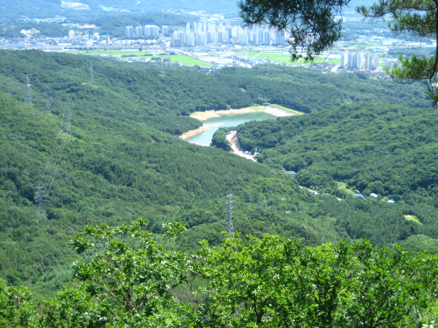 이미지를 클릭하면 원본을 보실 수 있습니다.
