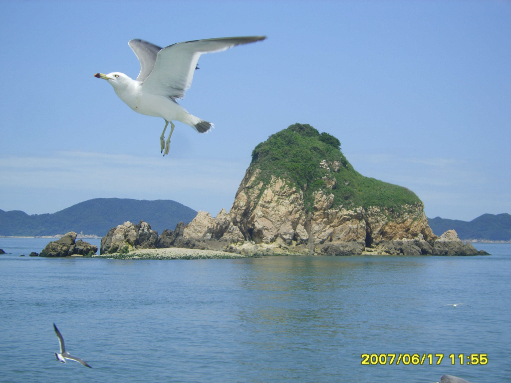 이미지를 클릭하면 원본을 보실 수 있습니다.