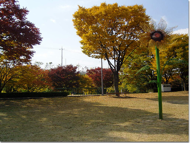 이미지를 클릭하면 원본을 보실 수 있습니다.