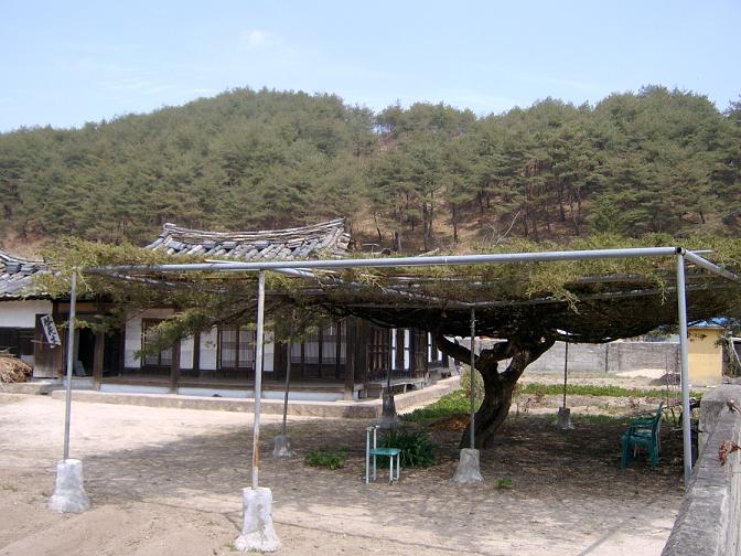 이미지를 클릭하면 원본을 보실 수 있습니다.