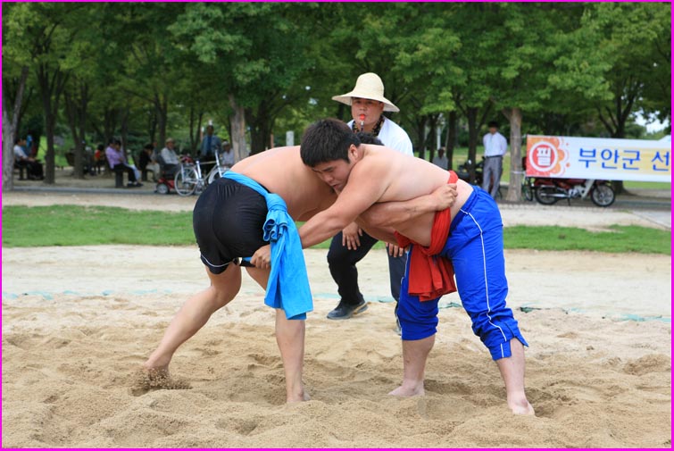 이미지를 클릭하면 원본을 보실 수 있습니다.