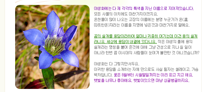 이미지를 클릭하면 원본을 보실 수 있습니다.
