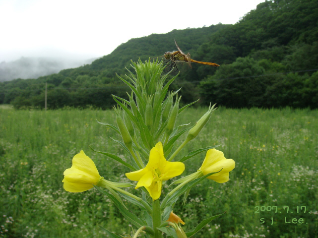 이미지를 클릭하면 원본을 보실 수 있습니다.