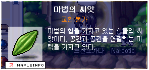 Daum 카페