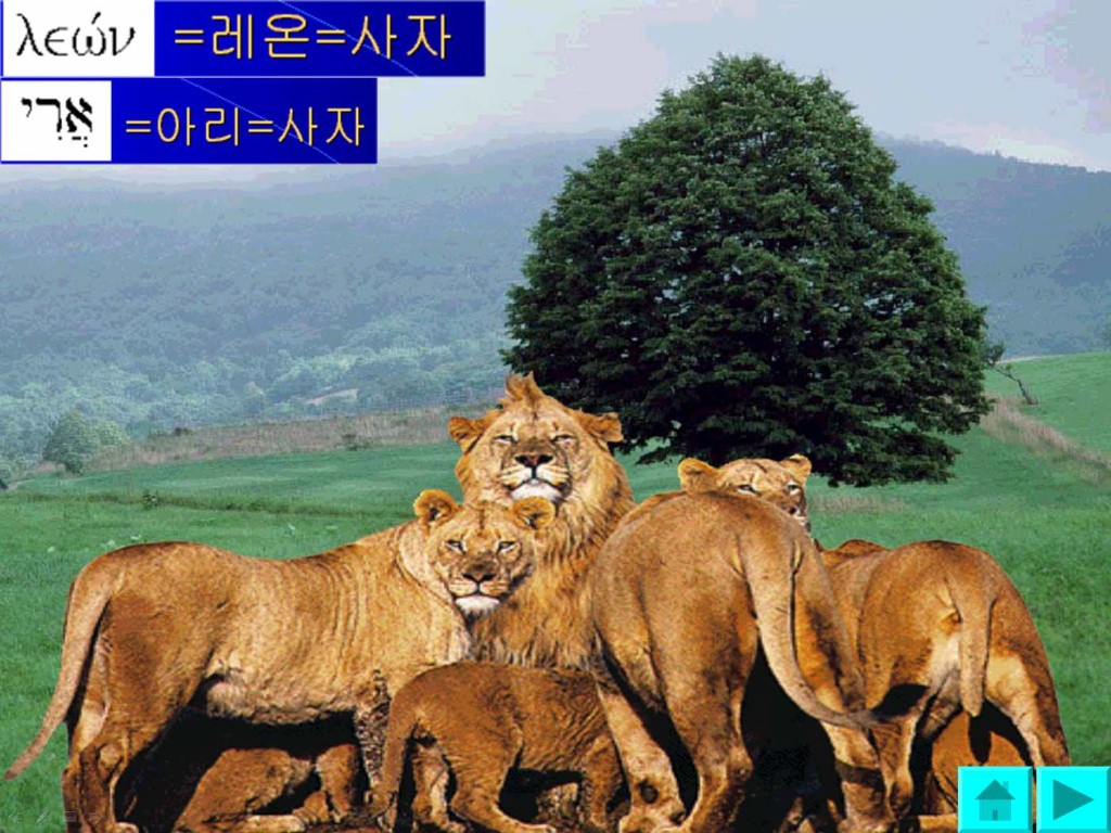 이미지를 클릭하면 원본을 보실 수 있습니다.