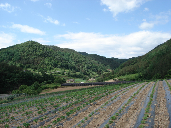 이미지를 클릭하면 원본을 보실 수 있습니다.