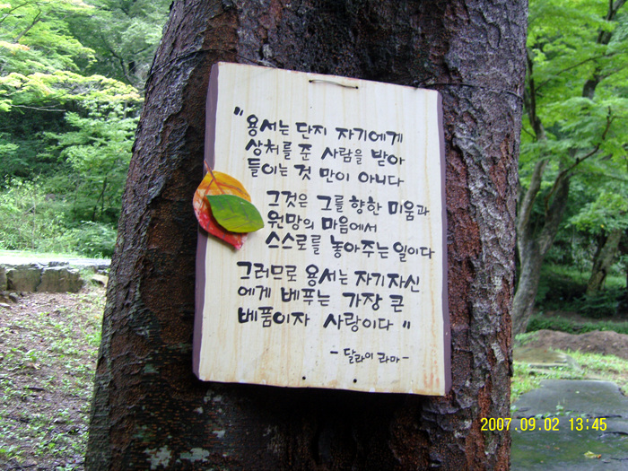이미지를 클릭하면 원본을 보실 수 있습니다.