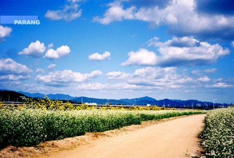 이미지를 클릭하면 원본을 보실 수 있습니다.
